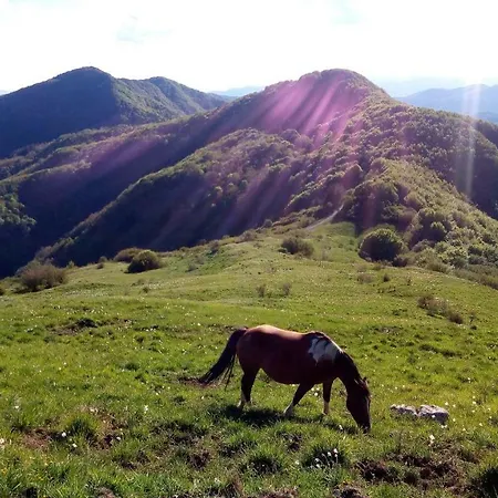 La Bredia *